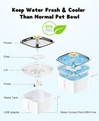 Automatic Cat Water Fountain 2.5L – Flowing Filtered Water to Support Healthier Hydration
